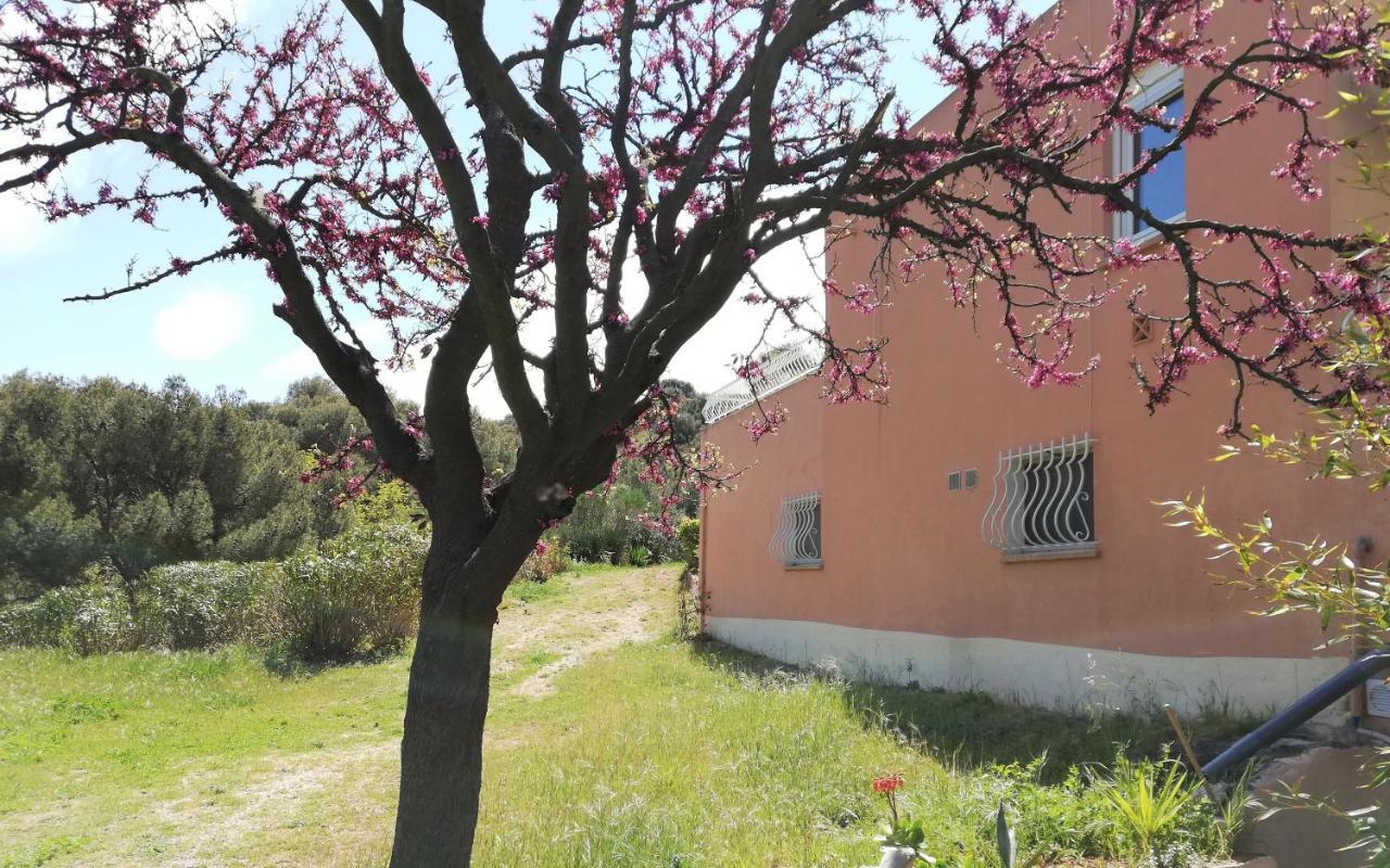 Studio 28M2 Climatise,Wifi, Proche Des Calanques,Plages La Ciotat Exterior photo